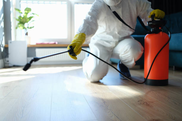 Reliable Odor Removal contractor in Cosmopolis, WA by Trauma Clean Pros